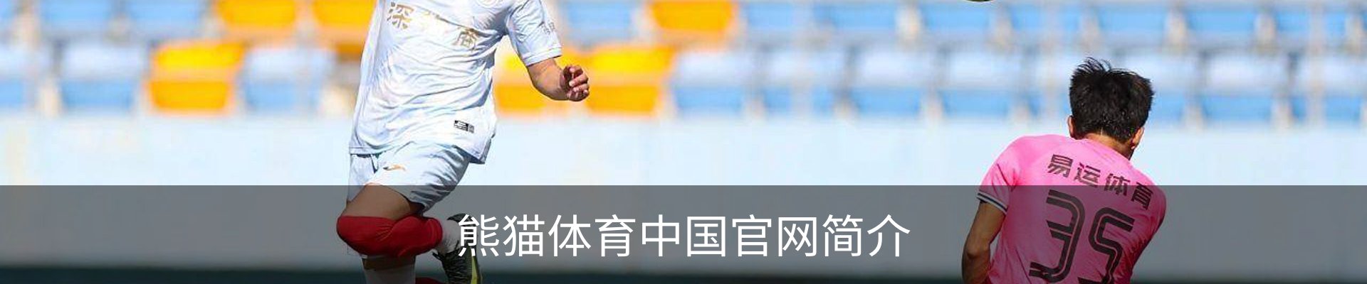 熊猫体育中国官网简介
